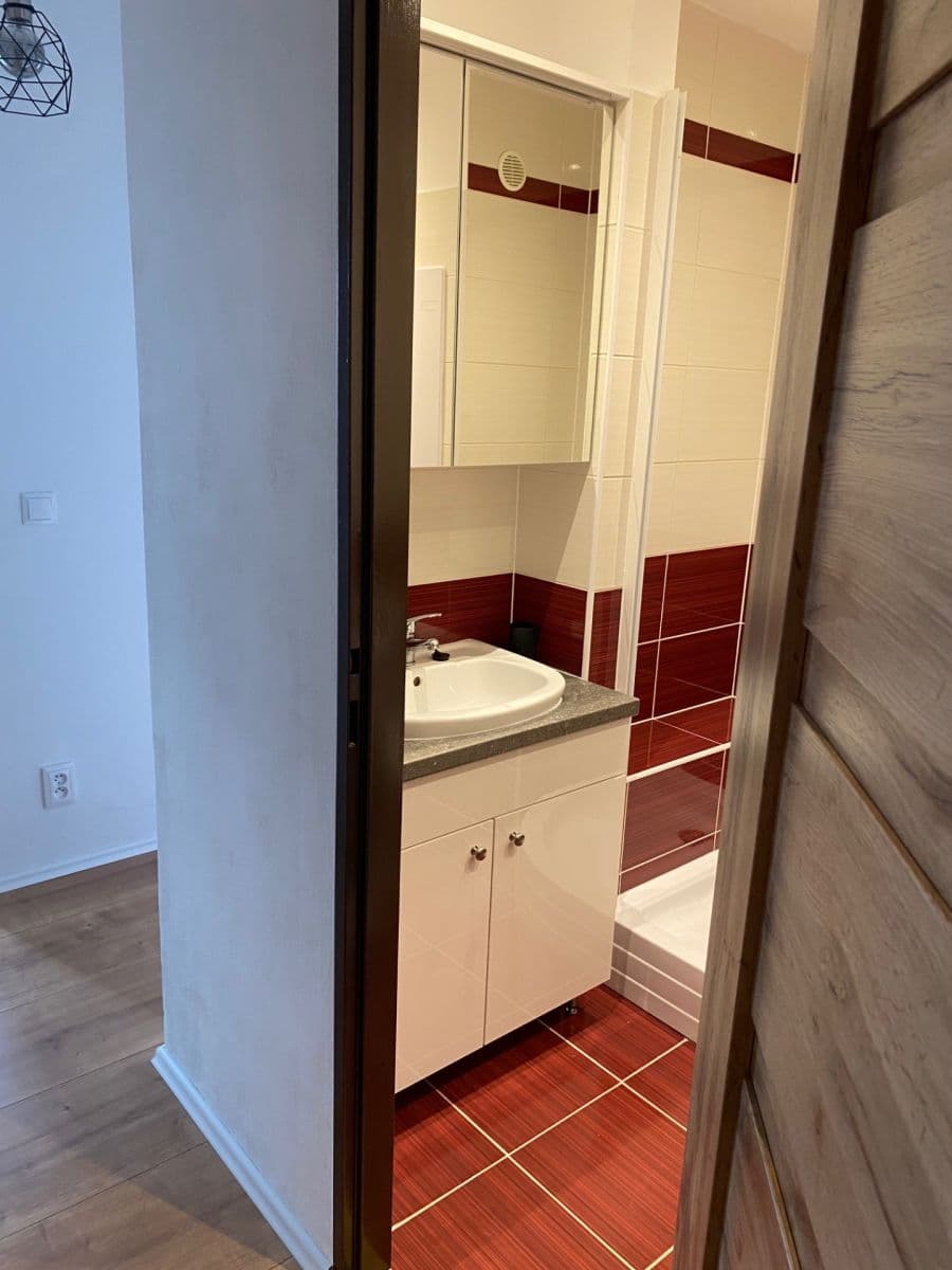 1 bedroom with open-plan kitchen flat to rent, 39 m², Lovosická, Prague, Prague 1 bedroom with open-plan kitchen flat to rent, 39 m², Lovosická, Prague, Prague