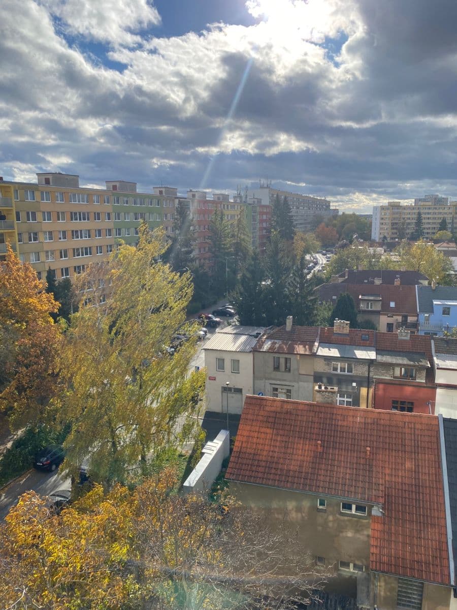 1 bedroom with open-plan kitchen flat to rent, 39 m², Lovosická, Prague, Prague 1 bedroom with open-plan kitchen flat to rent, 39 m², Lovosická, Prague, Prague