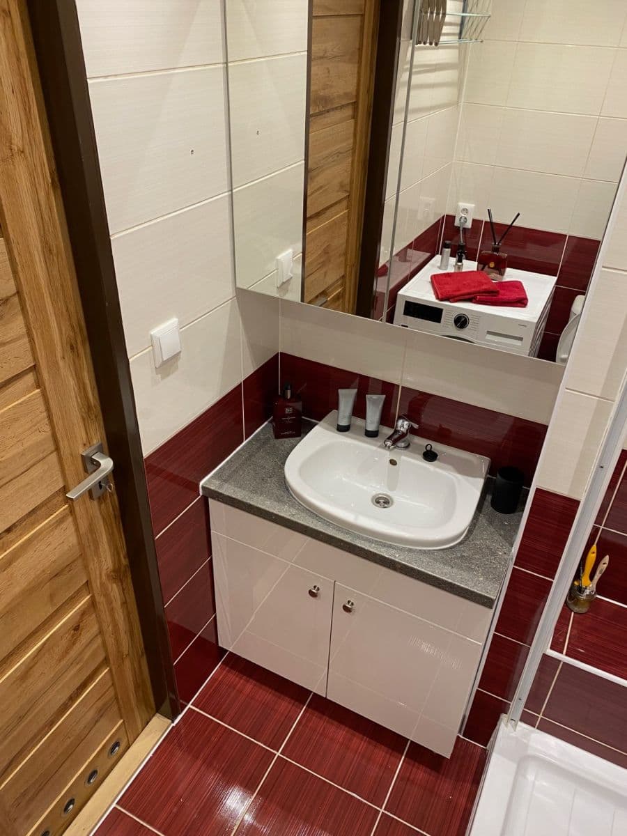 1 bedroom with open-plan kitchen flat to rent, 39 m², Lovosická, Prague, Prague 1 bedroom with open-plan kitchen flat to rent, 39 m², Lovosická, Prague, Prague