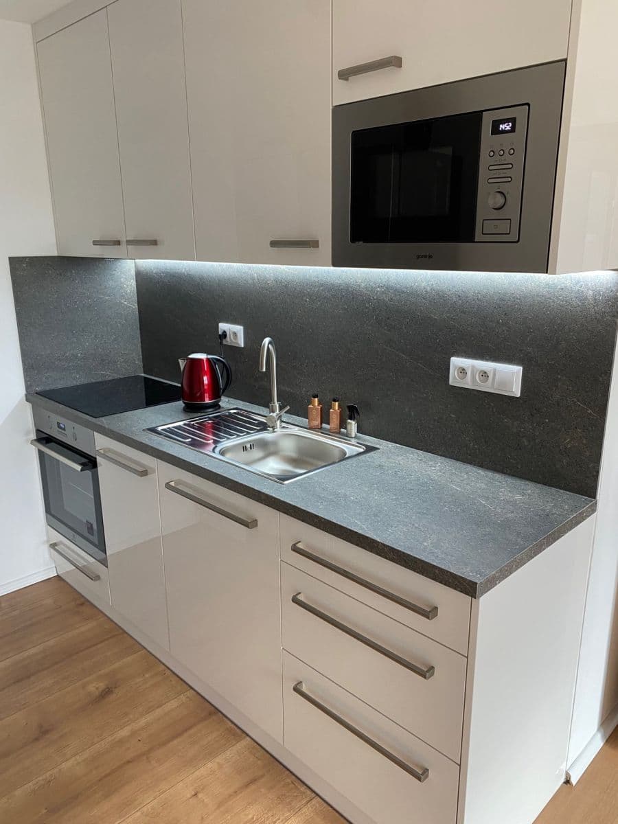 1 bedroom with open-plan kitchen flat to rent, 39 m², Lovosická, Prague, Prague 1 bedroom with open-plan kitchen flat to rent, 39 m², Lovosická, Prague, Prague