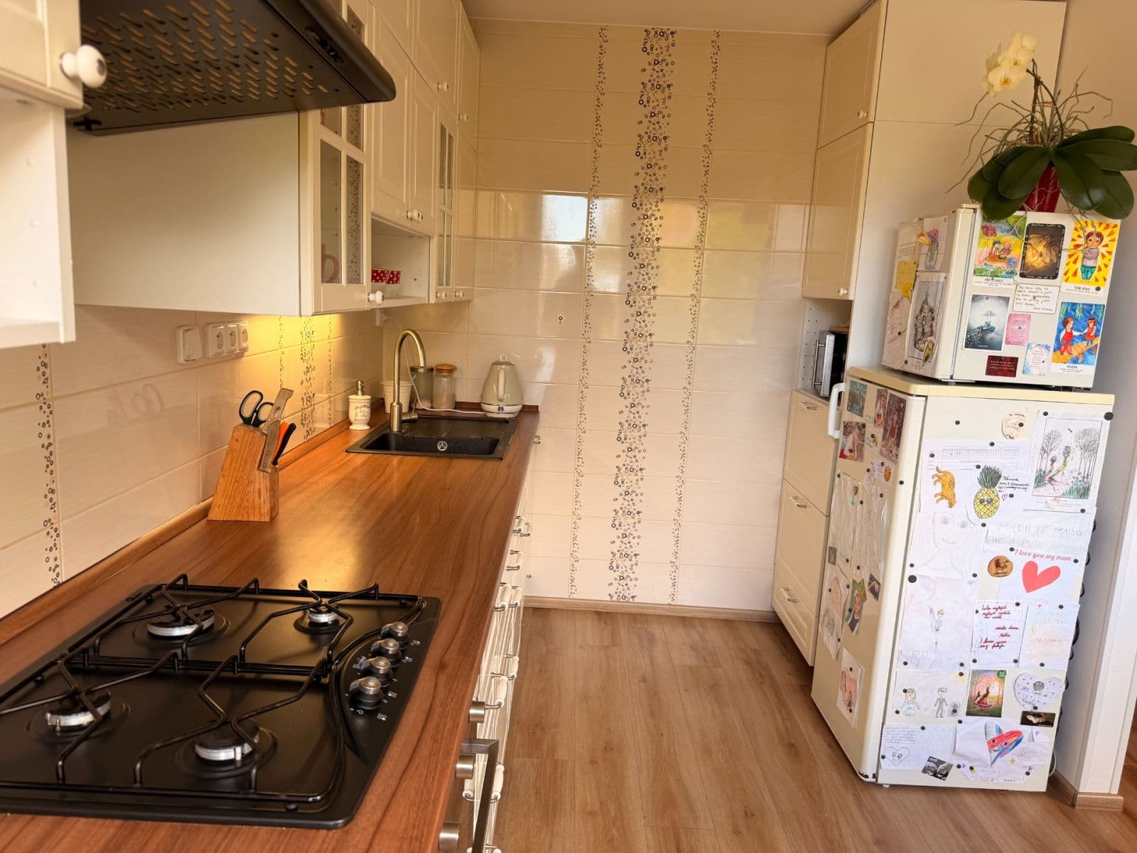 3 bedroom with open-plan kitchen flat to rent, 80 m², Petržílkova, Prague, Prague 3 bedroom with open-plan kitchen flat to rent, 80 m², Petržílkova, Prague, Prague