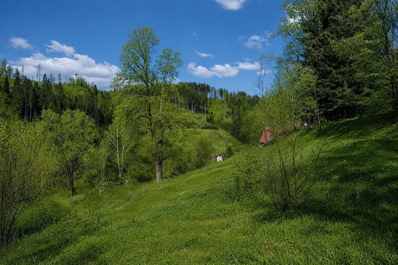 plot for sale, 16,360 m², Jablonec nad Jizerou, Liberecký Region plot for sale, 16,360 m², Jablonec nad Jizerou, Liberecký Region