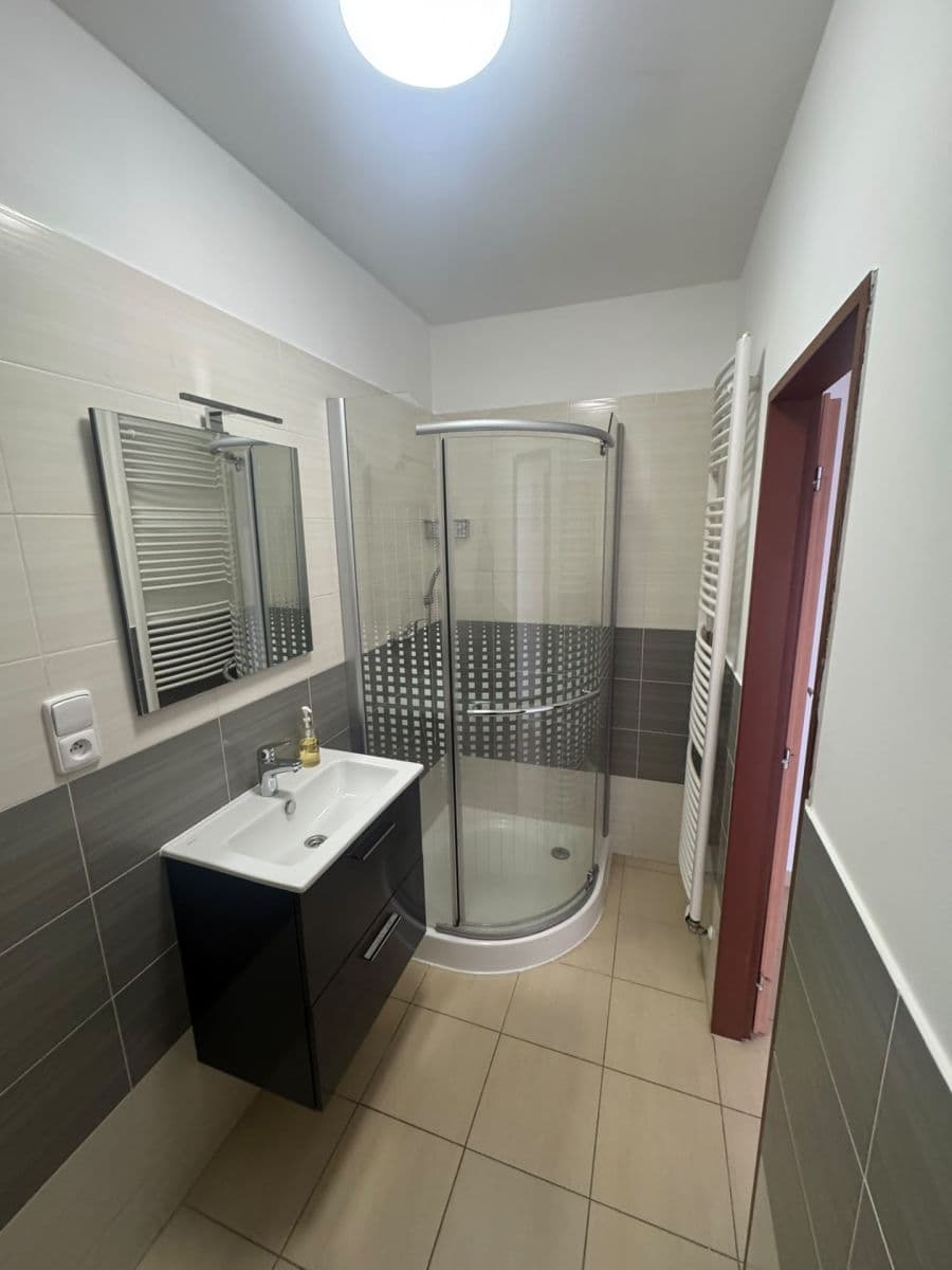 1 bedroom with open-plan kitchen flat to rent, 55 m², Nad Krocínkou, Prague, Prague 1 bedroom with open-plan kitchen flat to rent, 55 m², Nad Krocínkou, Prague, Prague
