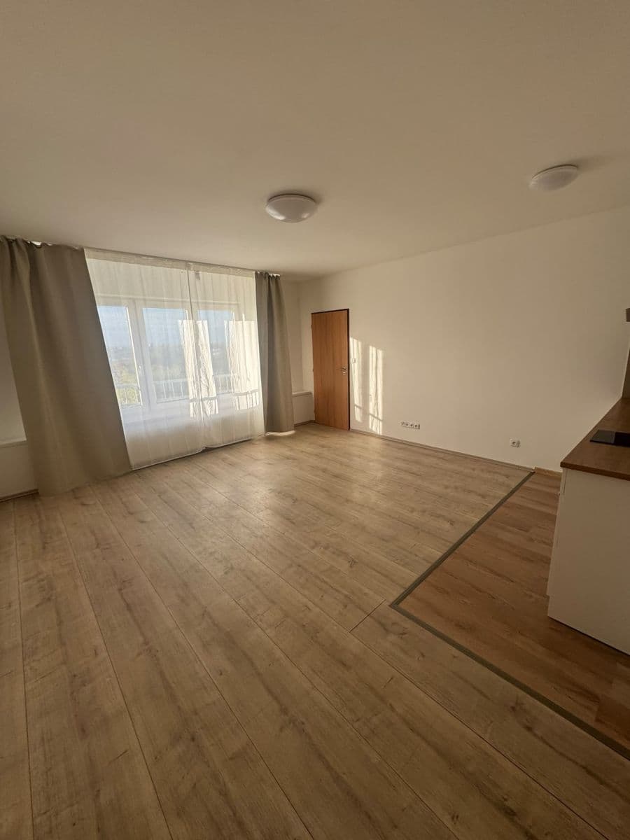 1 bedroom with open-plan kitchen flat to rent, 55 m², Nad Krocínkou, Prague, Prague 1 bedroom with open-plan kitchen flat to rent, 55 m², Nad Krocínkou, Prague, Prague