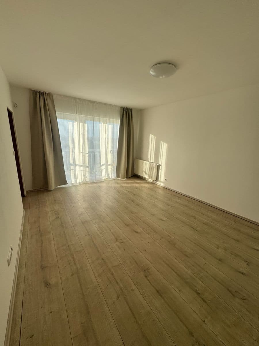 1 bedroom with open-plan kitchen flat to rent, 55 m², Nad Krocínkou, Prague, Prague 1 bedroom with open-plan kitchen flat to rent, 55 m², Nad Krocínkou, Prague, Prague