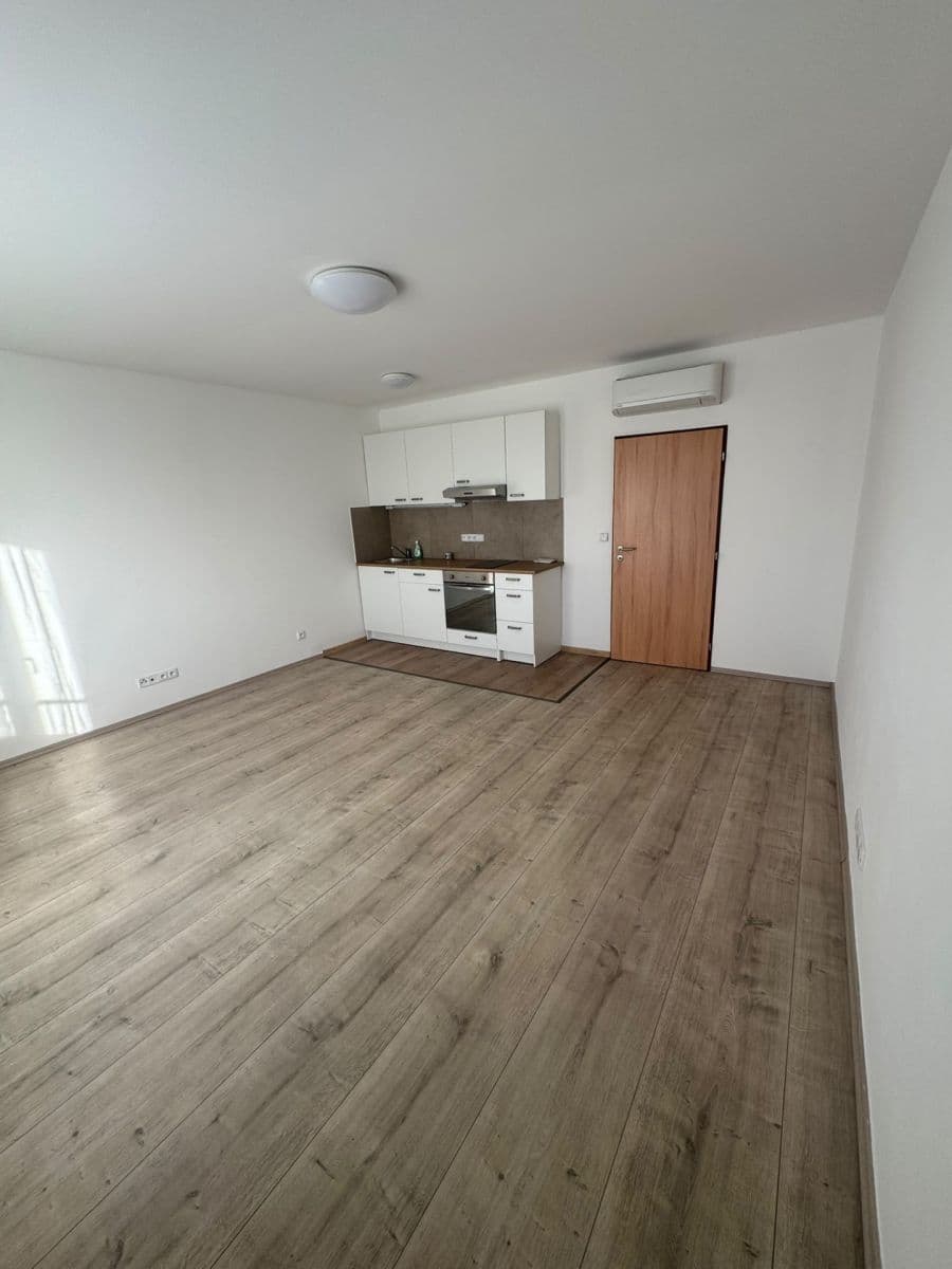 1 bedroom with open-plan kitchen flat to rent, 55 m², Nad Krocínkou, Prague, Prague 1 bedroom with open-plan kitchen flat to rent, 55 m², Nad Krocínkou, Prague, Prague