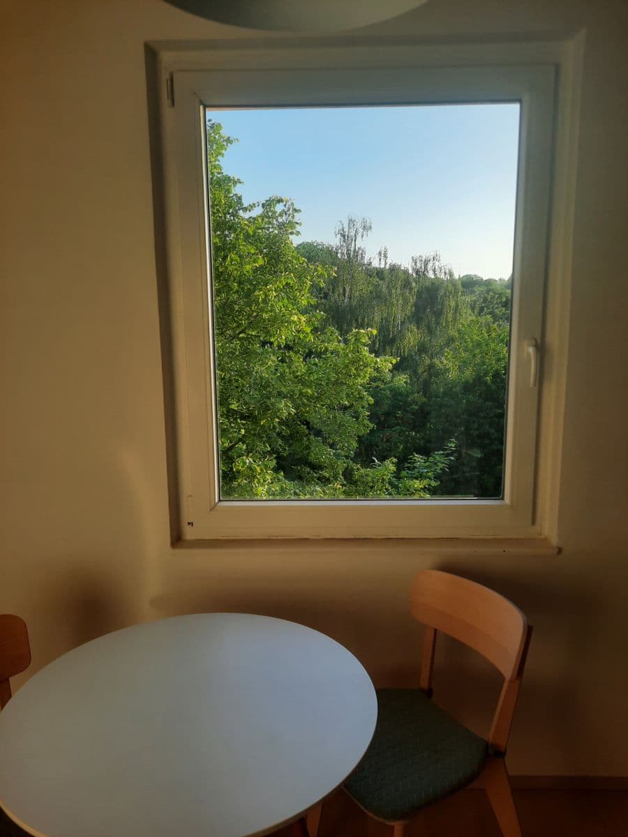 2 bedroom with open-plan kitchen flat to rent, 62 m², Trachtova, Prague, Prague 2 bedroom with open-plan kitchen flat to rent, 62 m², Trachtova, Prague, Prague