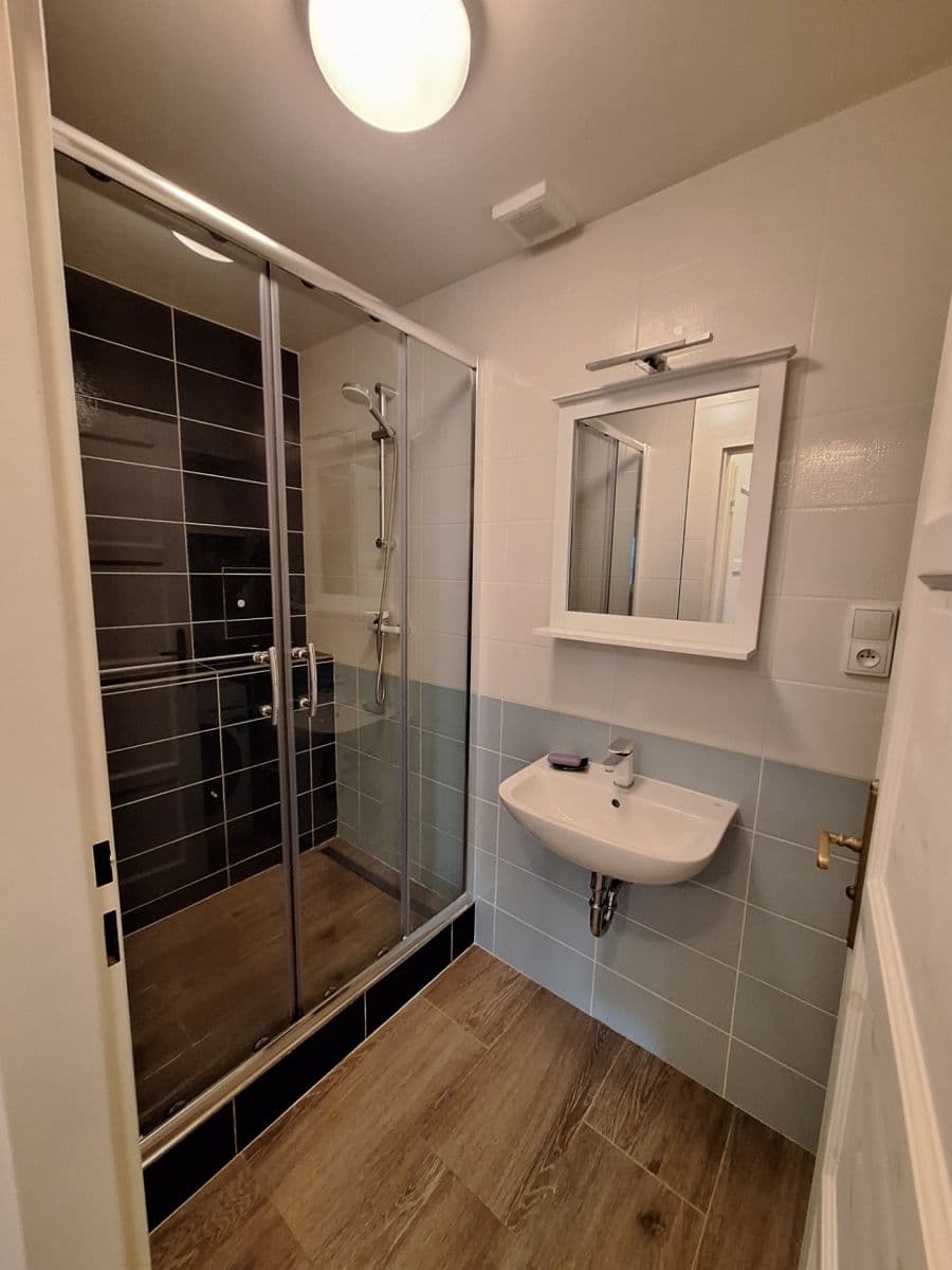 2 bedroom with open-plan kitchen flat to rent, 62 m², Trachtova, Prague, Prague 2 bedroom with open-plan kitchen flat to rent, 62 m², Trachtova, Prague, Prague