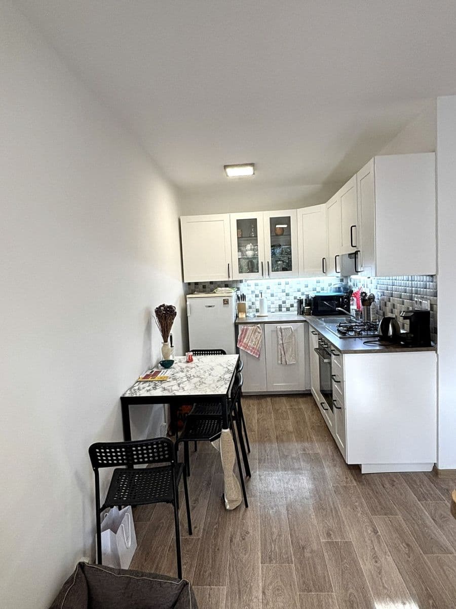 1 bedroom with open-plan kitchen flat to rent, 40 m², Žandovská, Prague, Prague 1 bedroom with open-plan kitchen flat to rent, 40 m², Žandovská, Prague, Prague