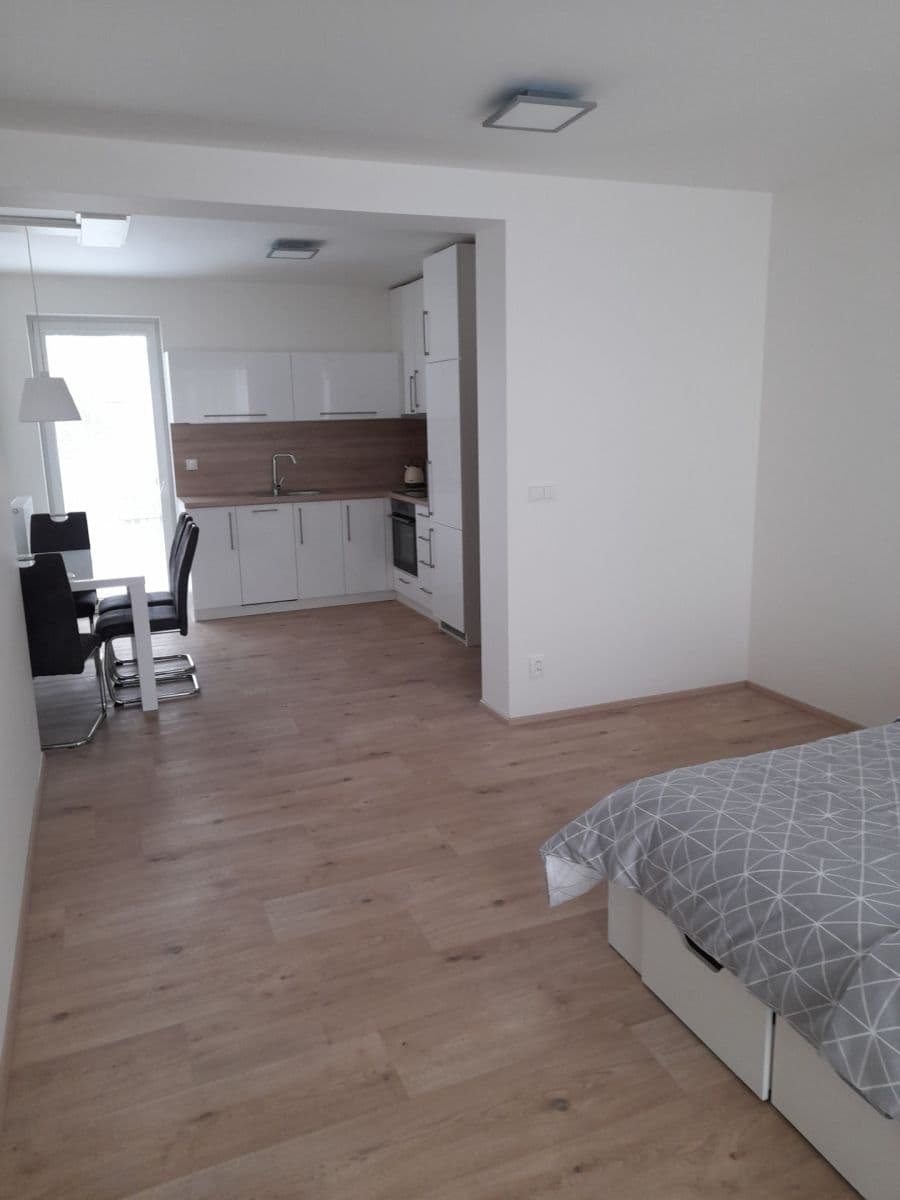 Studio flat to rent, 40 m², Lovčičky, Jihomoravský Region Studio flat to rent, 40 m², Lovčičky, Jihomoravský Region