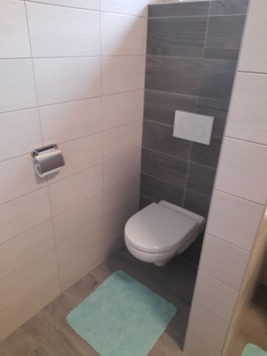 Studio flat to rent, 40 m², Lovčičky, Jihomoravský Region Studio flat to rent, 40 m², Lovčičky, Jihomoravský Region