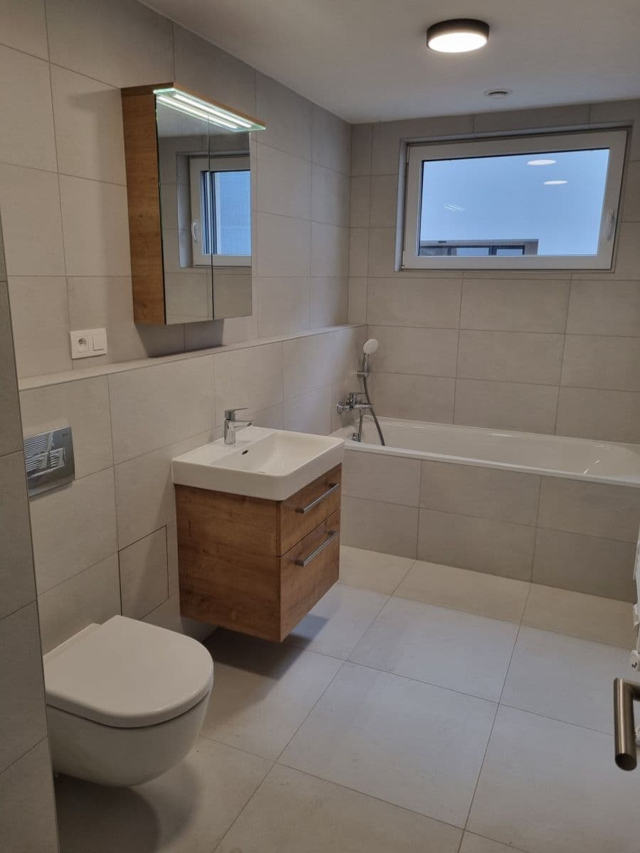 1 bedroom with open-plan kitchen flat to rent, 60 m², Pod Krocínkou, Prague, Prague 1 bedroom with open-plan kitchen flat to rent, 60 m², Pod Krocínkou, Prague, Prague