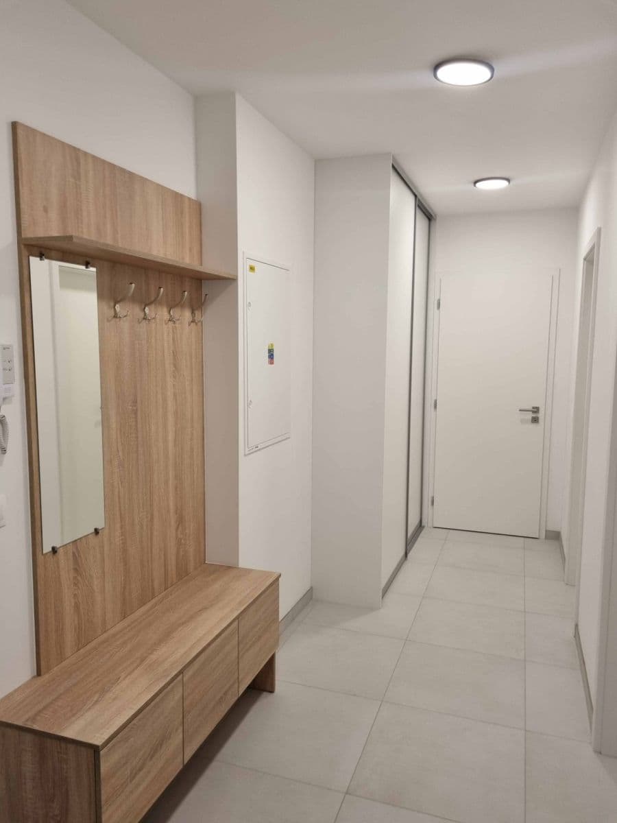 1 bedroom with open-plan kitchen flat to rent, 60 m², Pod Krocínkou, Prague, Prague 1 bedroom with open-plan kitchen flat to rent, 60 m², Pod Krocínkou, Prague, Prague