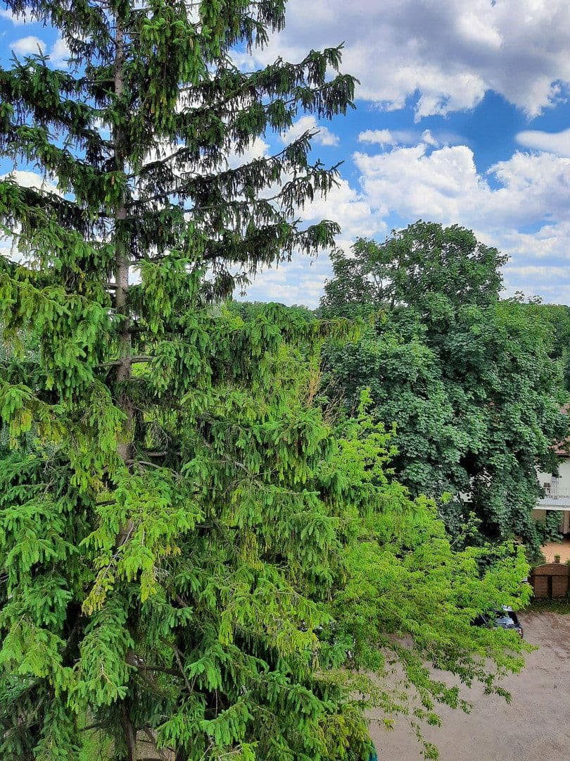 2 bedroom flat to rent, 51 m², Berlin, Berlin 2 bedroom flat to rent, 51 m², Berlin, Berlin