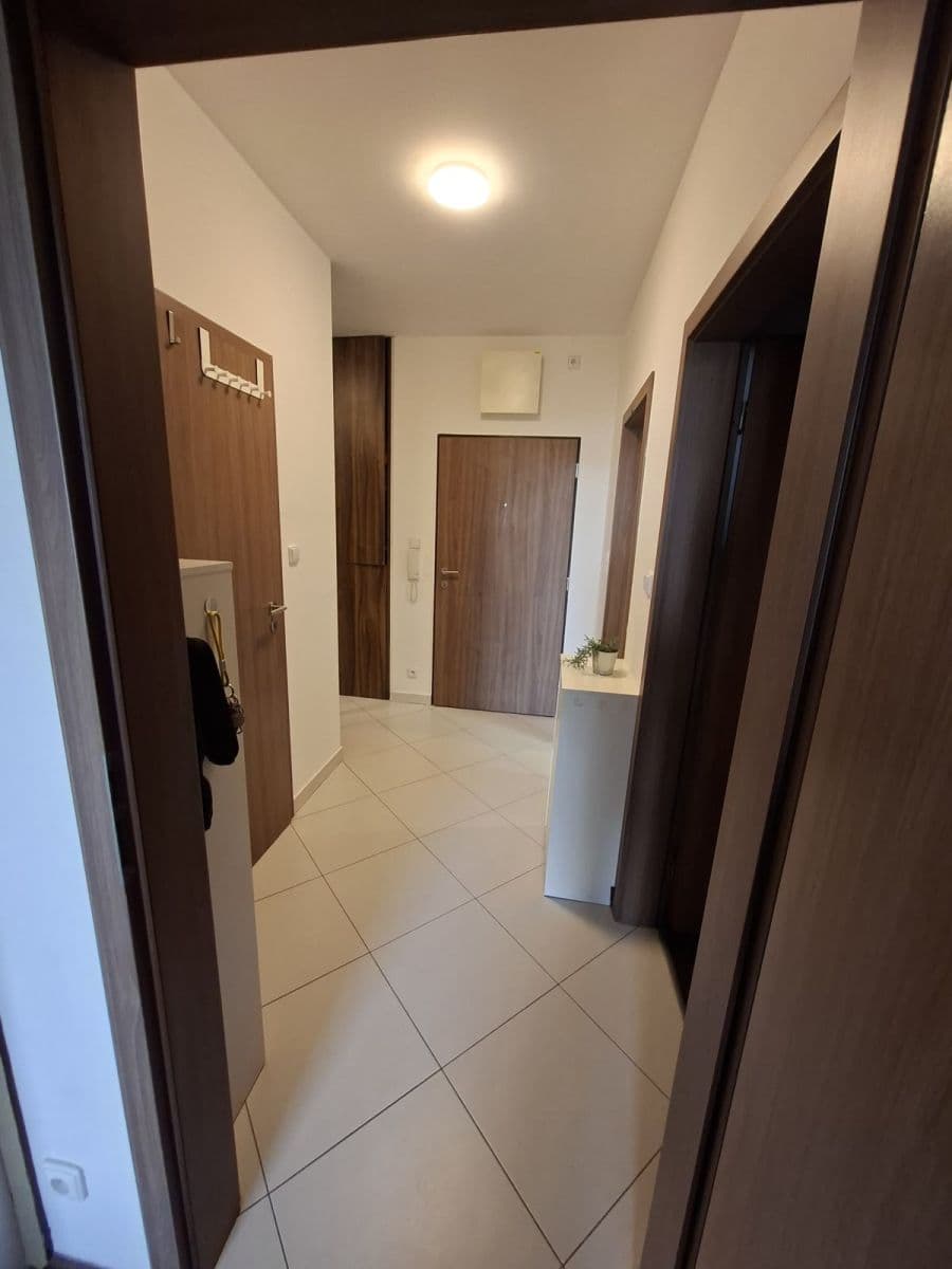 1 bedroom with open-plan kitchen flat to rent, 55 m², Pod Harfou, Prague, Prague 1 bedroom with open-plan kitchen flat to rent, 55 m², Pod Harfou, Prague, Prague