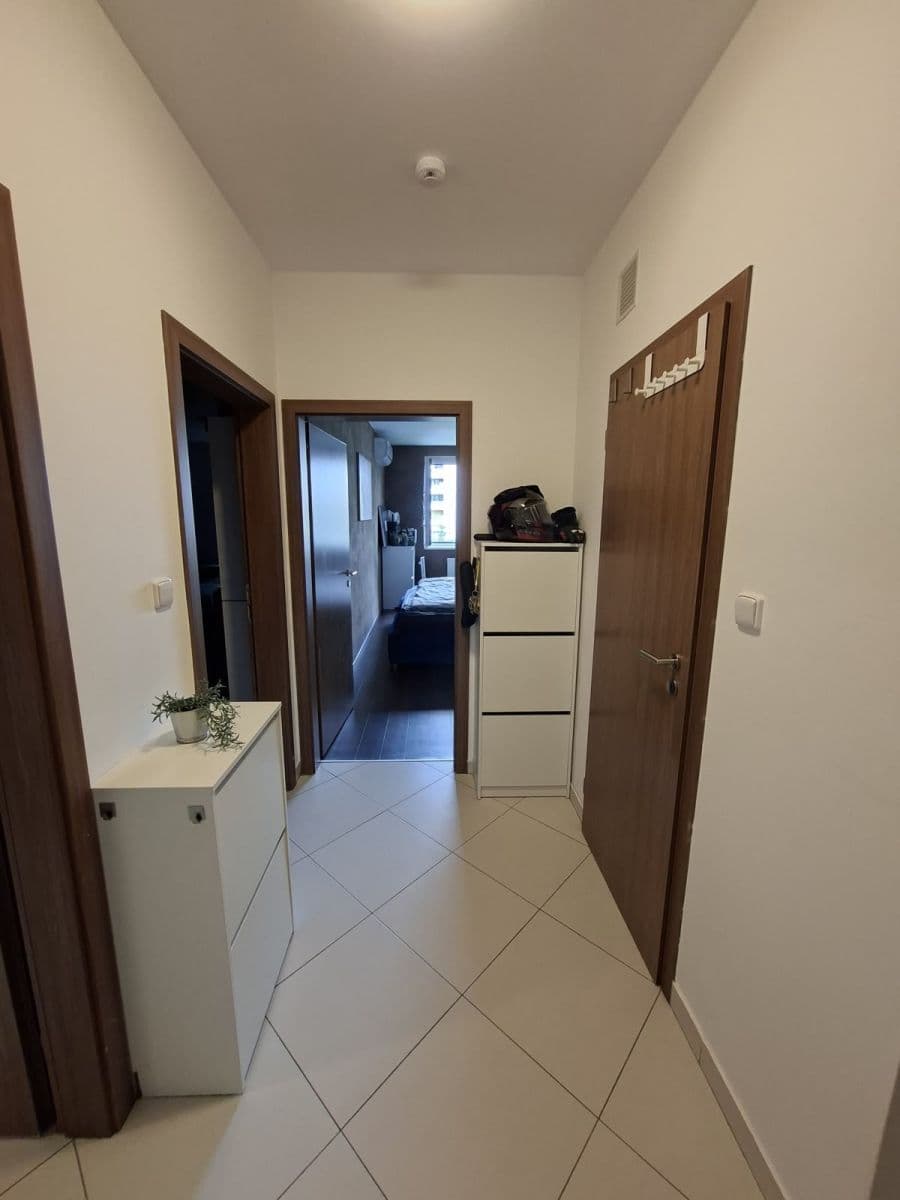 1 bedroom with open-plan kitchen flat to rent, 55 m², Pod Harfou, Prague, Prague 1 bedroom with open-plan kitchen flat to rent, 55 m², Pod Harfou, Prague, Prague