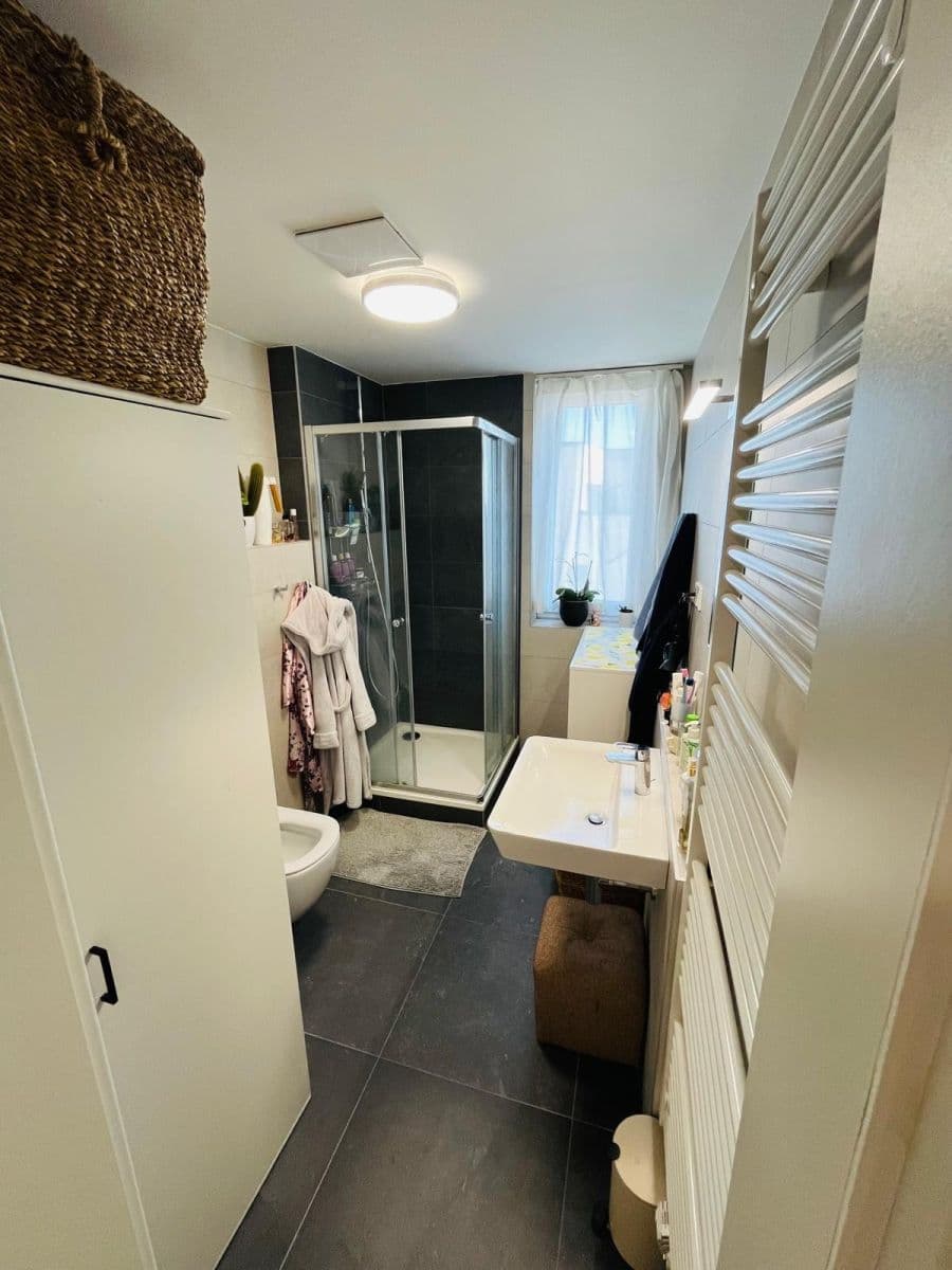 1 bedroom with open-plan kitchen flat to rent, 55 m², Olgy Havlové, Prague, Prague 1 bedroom with open-plan kitchen flat to rent, 55 m², Olgy Havlové, Prague, Prague