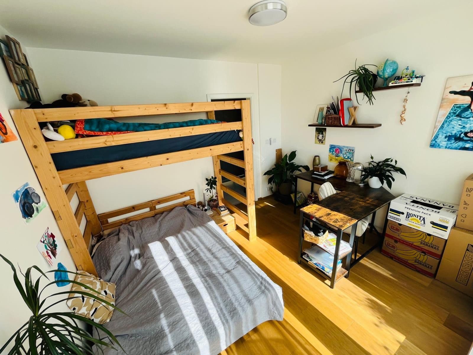 1 bedroom with open-plan kitchen flat to rent, 55 m², Olgy Havlové, Prague, Prague 1 bedroom with open-plan kitchen flat to rent, 55 m², Olgy Havlové, Prague, Prague