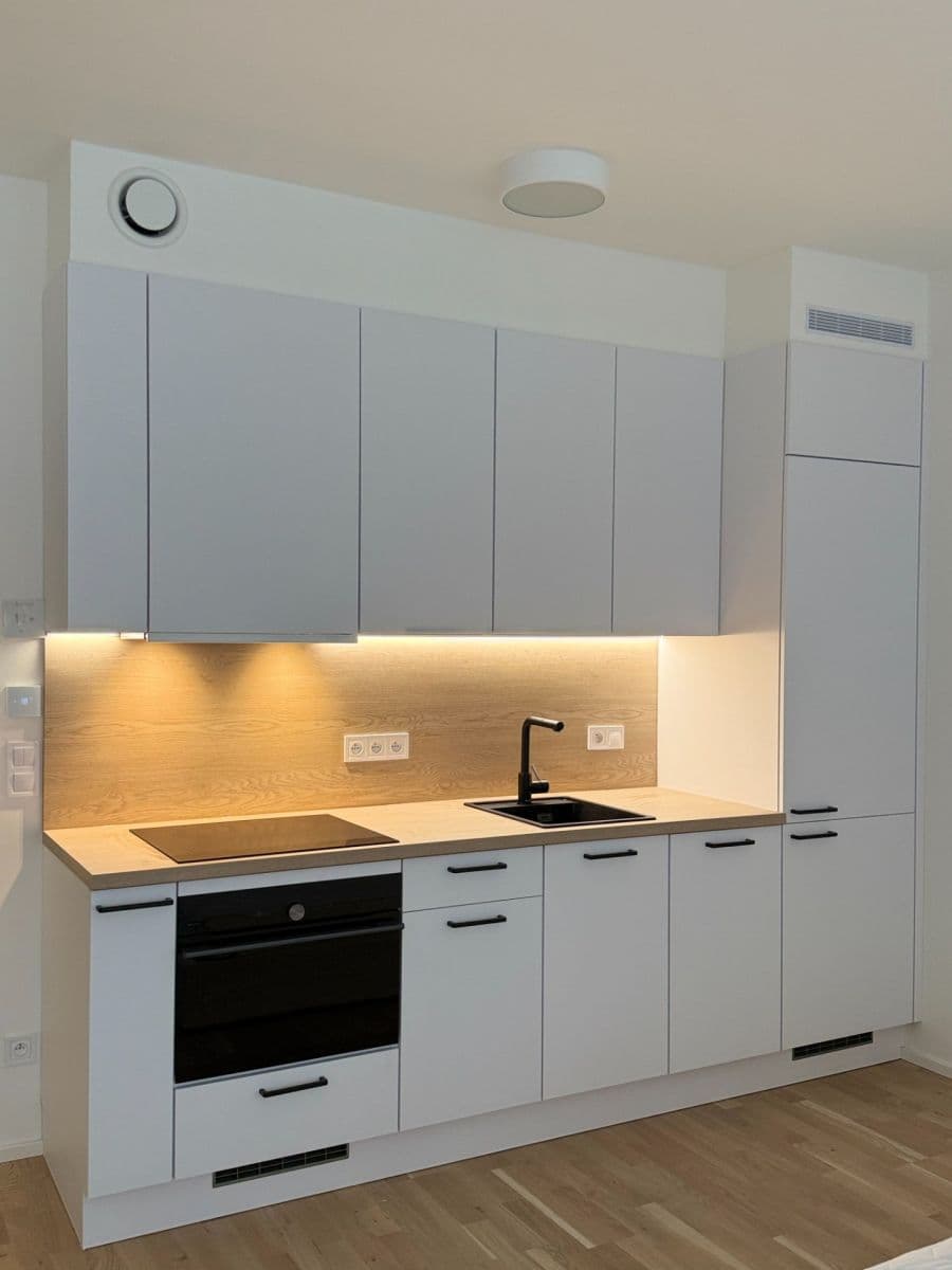 Studio flat to rent, 39 m², Hartigova, Prague, Prague Studio flat to rent, 39 m², Hartigova, Prague, Prague