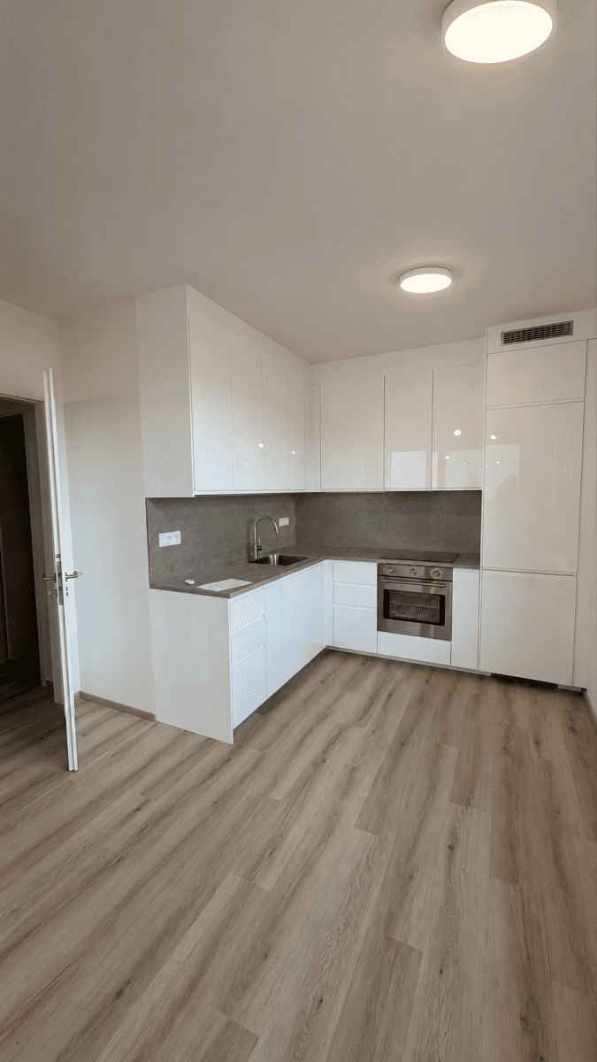 1 bedroom with open-plan kitchen flat to rent, 60 m², Waltariho, Prague, Prague 1 bedroom with open-plan kitchen flat to rent, 60 m², Waltariho, Prague, Prague