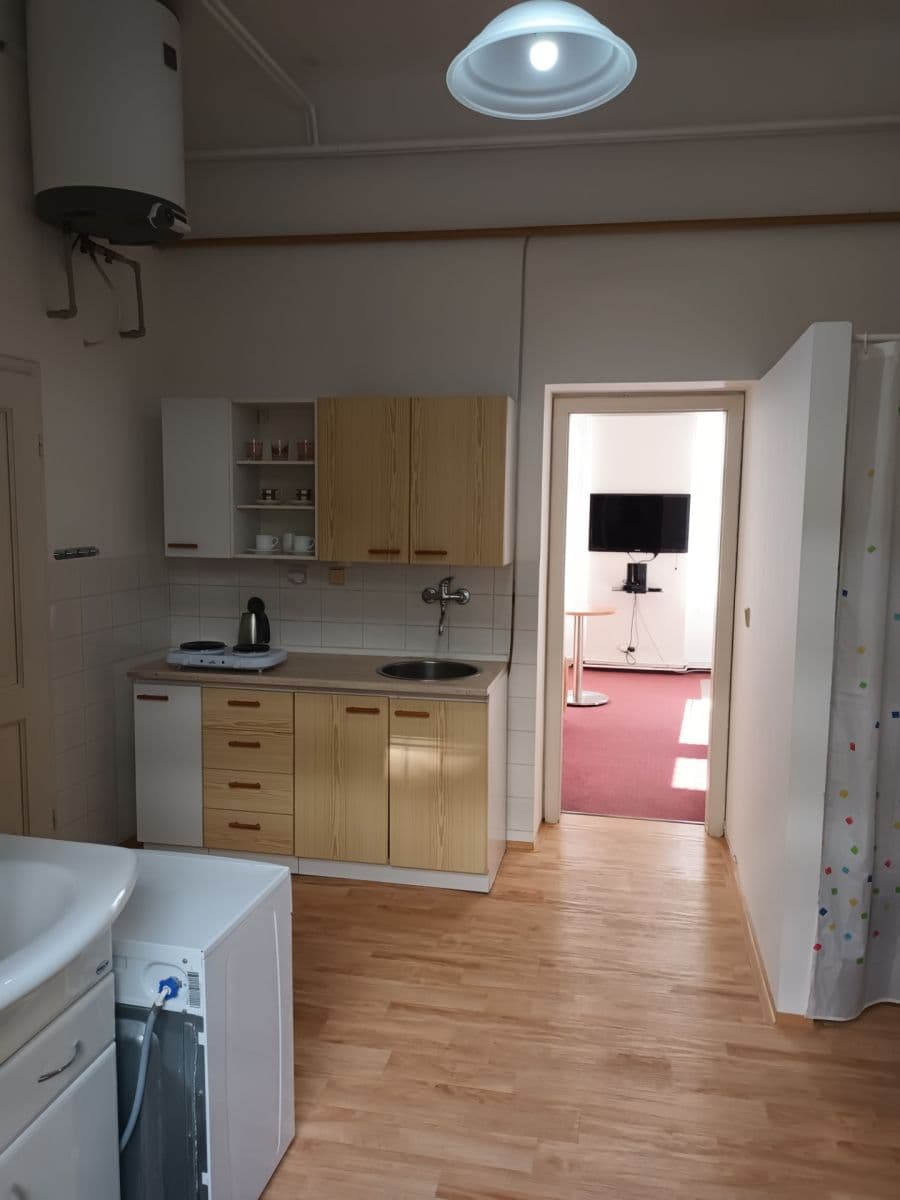 1 bedroom with open-plan kitchen flat to rent, 34 m², Na Petynce, Prague, Prague 1 bedroom with open-plan kitchen flat to rent, 34 m², Na Petynce, Prague, Prague