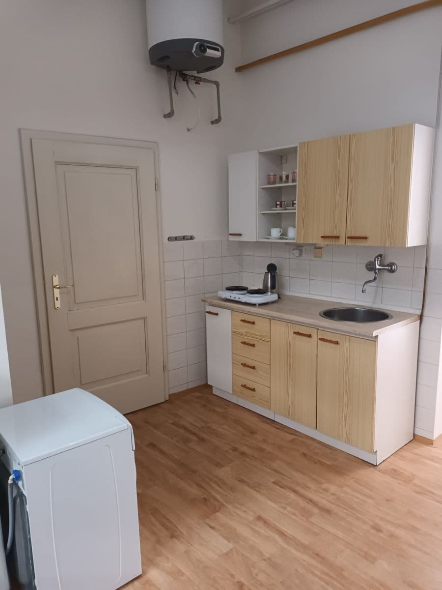 1 bedroom with open-plan kitchen flat to rent, 34 m², Na Petynce, Prague, Prague 1 bedroom with open-plan kitchen flat to rent, 34 m², Na Petynce, Prague, Prague