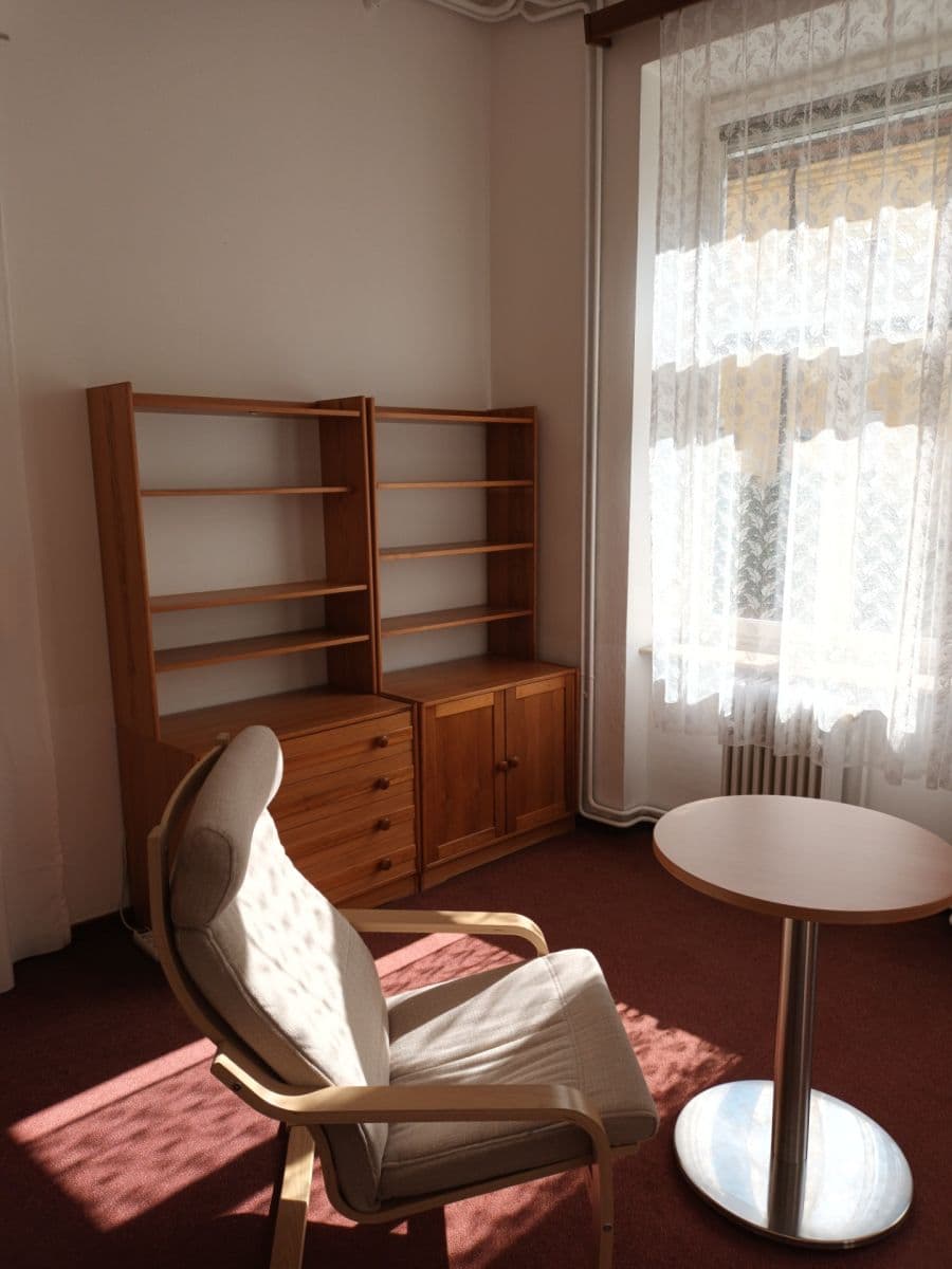 1 bedroom with open-plan kitchen flat to rent, 34 m², Na Petynce, Prague, Prague 1 bedroom with open-plan kitchen flat to rent, 34 m², Na Petynce, Prague, Prague