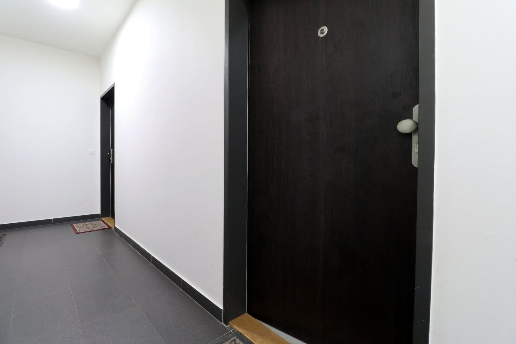 1 bedroom with open-plan kitchen flat to rent, 53 m², Svatošových, Prague, Prague 1 bedroom with open-plan kitchen flat to rent, 53 m², Svatošových, Prague, Prague