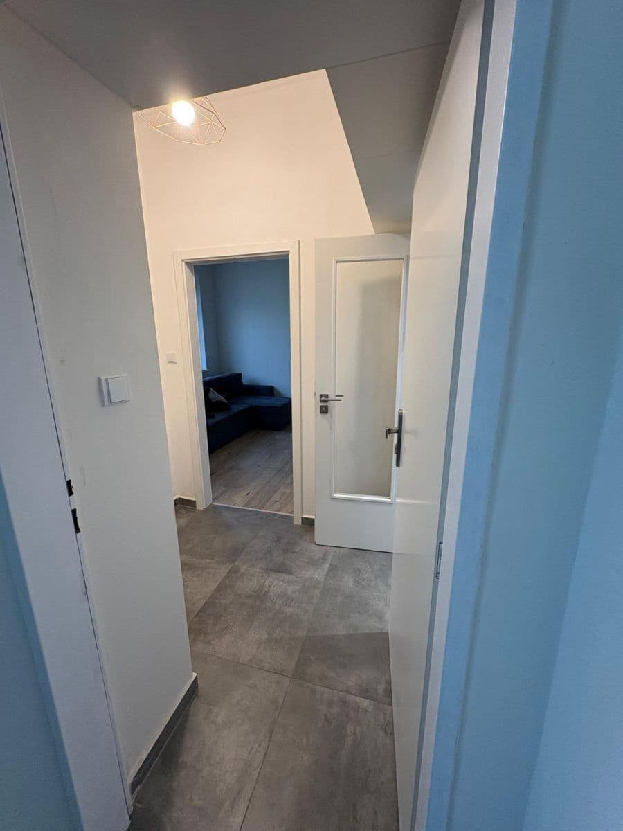 1 bedroom with open-plan kitchen flat to rent, 45 m², Evropská, Prague, Prague 1 bedroom with open-plan kitchen flat to rent, 45 m², Evropská, Prague, Prague