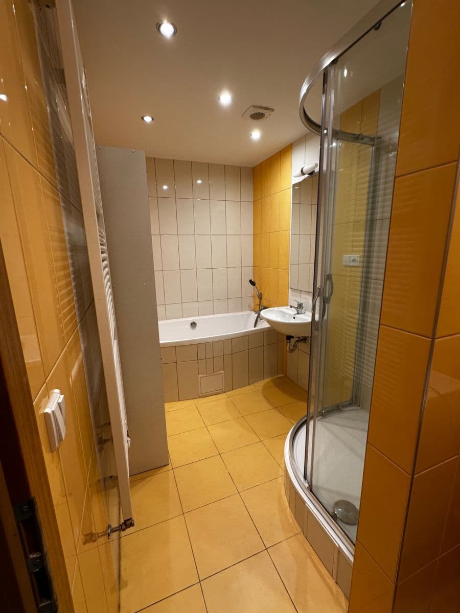 1 bedroom with open-plan kitchen flat to rent, 66 m², Valečovská, Prague, Prague 1 bedroom with open-plan kitchen flat to rent, 66 m², Valečovská, Prague, Prague