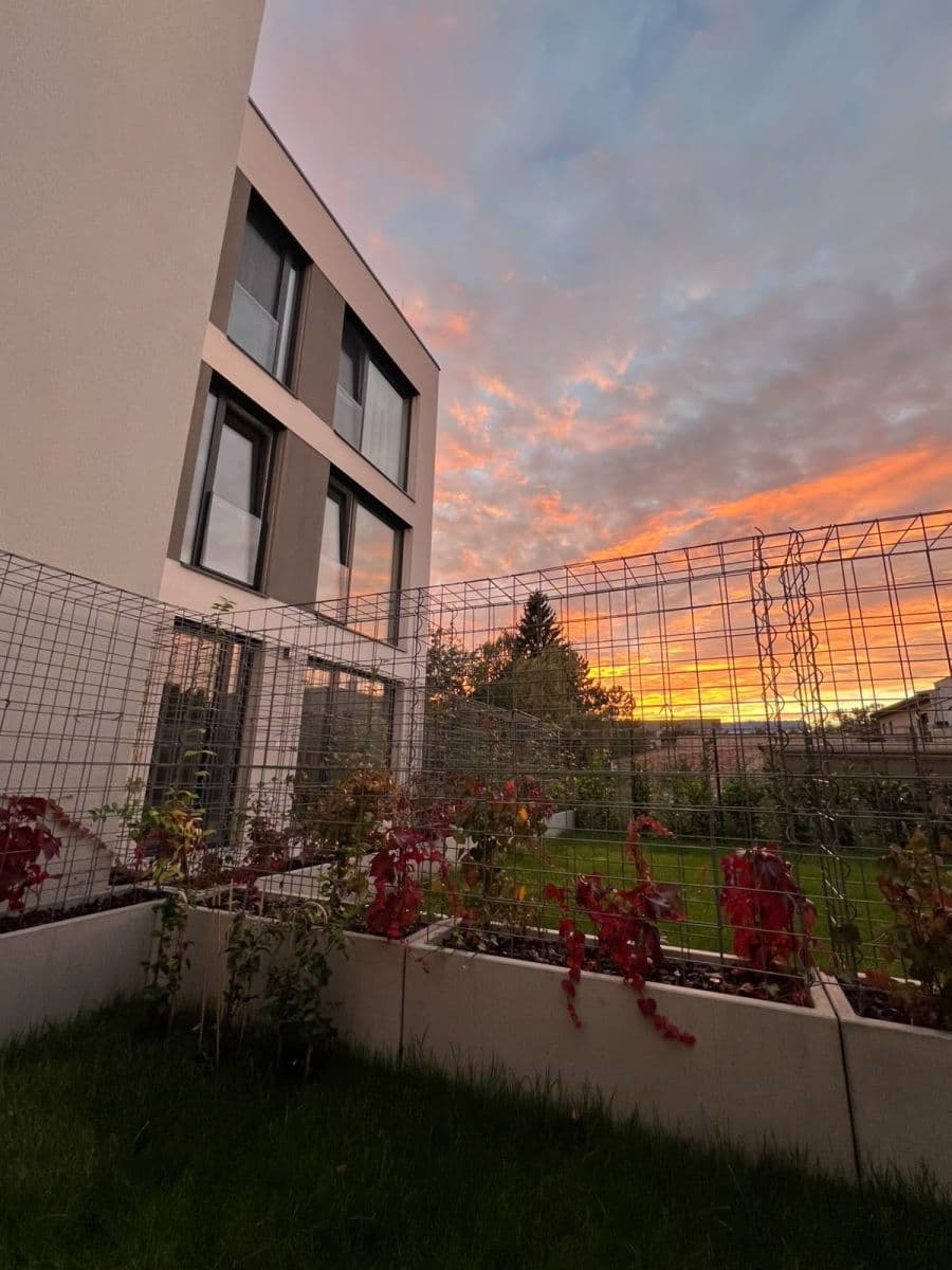 Studio flat to rent, 45 m², Cukerní, Prague, Prague Studio flat to rent, 45 m², Cukerní, Prague, Prague