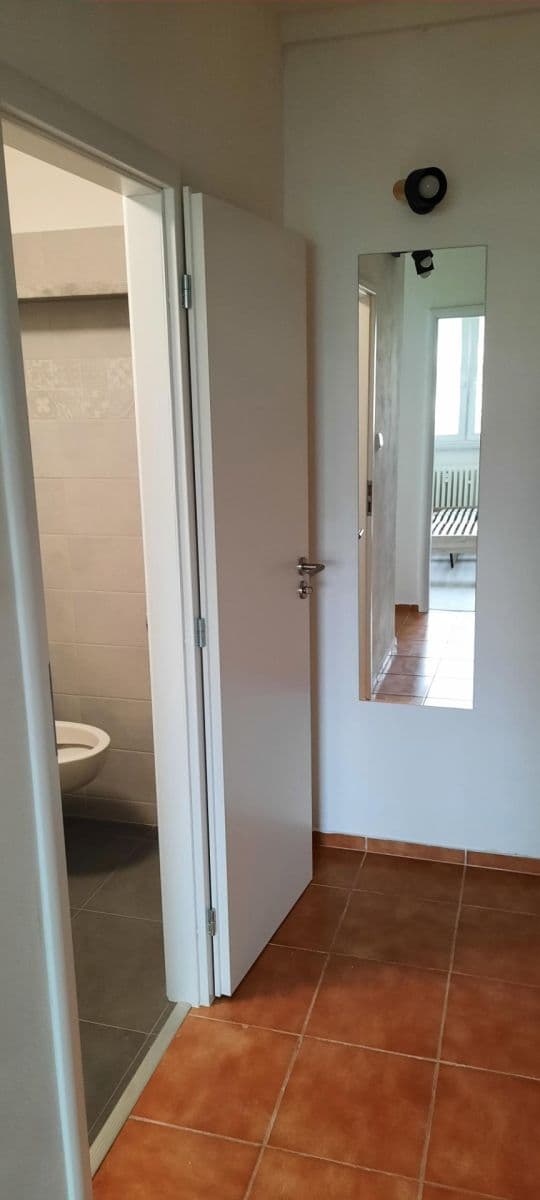 1 bedroom with open-plan kitchen flat to rent, 40 m², U Sluncové, Prague, Prague 1 bedroom with open-plan kitchen flat to rent, 40 m², U Sluncové, Prague, Prague