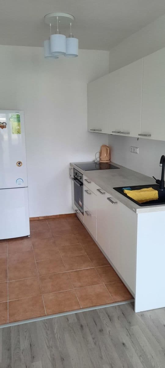 1 bedroom with open-plan kitchen flat to rent, 40 m², U Sluncové, Prague, Prague 1 bedroom with open-plan kitchen flat to rent, 40 m², U Sluncové, Prague, Prague