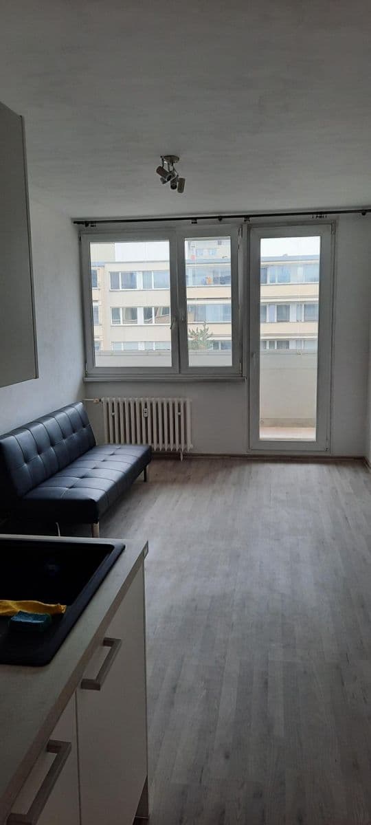 1 bedroom with open-plan kitchen flat to rent, 40 m², U Sluncové, Prague, Prague 1 bedroom with open-plan kitchen flat to rent, 40 m², U Sluncové, Prague, Prague