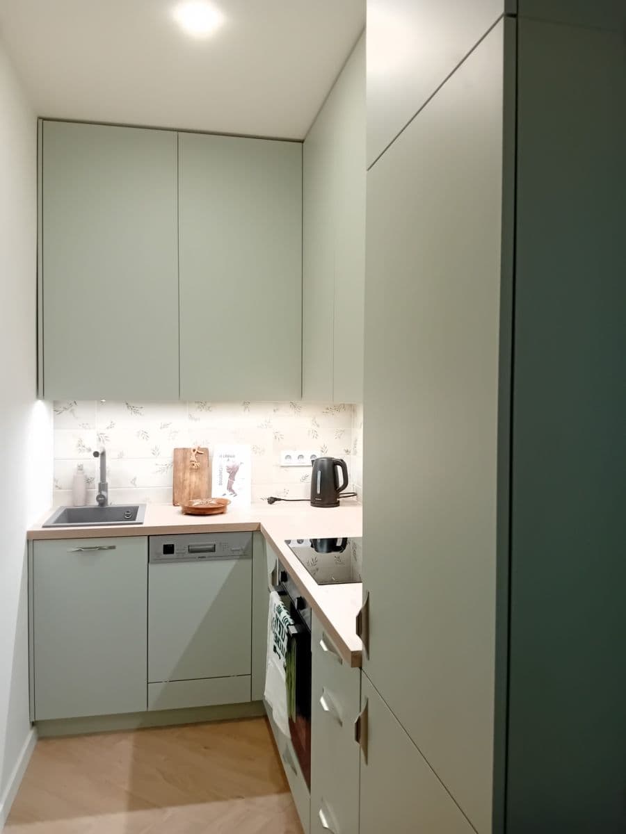 1 bedroom with open-plan kitchen flat to rent, 51 m², Krymská, Prague, Prague 1 bedroom with open-plan kitchen flat to rent, 51 m², Krymská, Prague, Prague