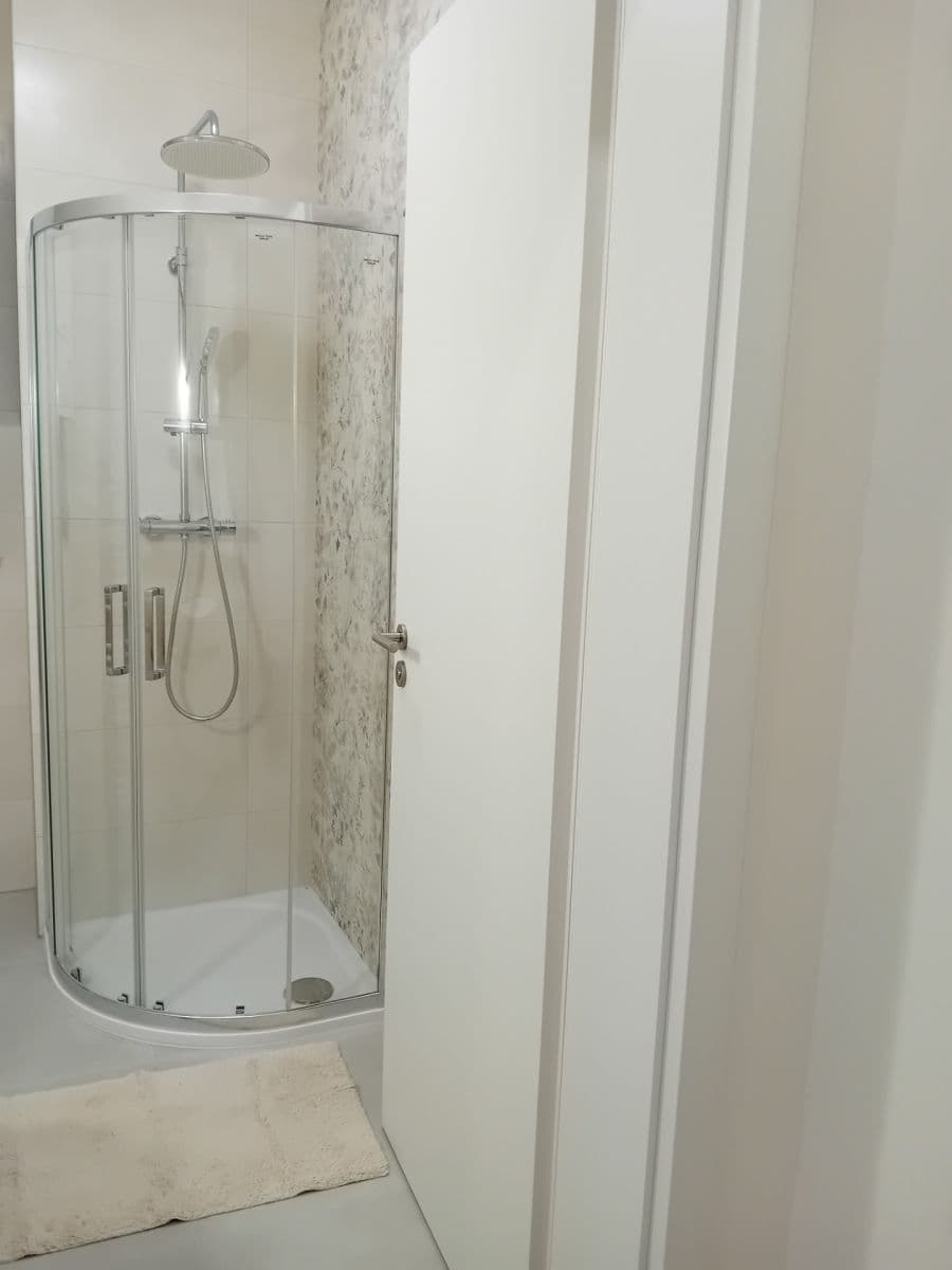 1 bedroom with open-plan kitchen flat to rent, 51 m², Krymská, Prague, Prague 1 bedroom with open-plan kitchen flat to rent, 51 m², Krymská, Prague, Prague