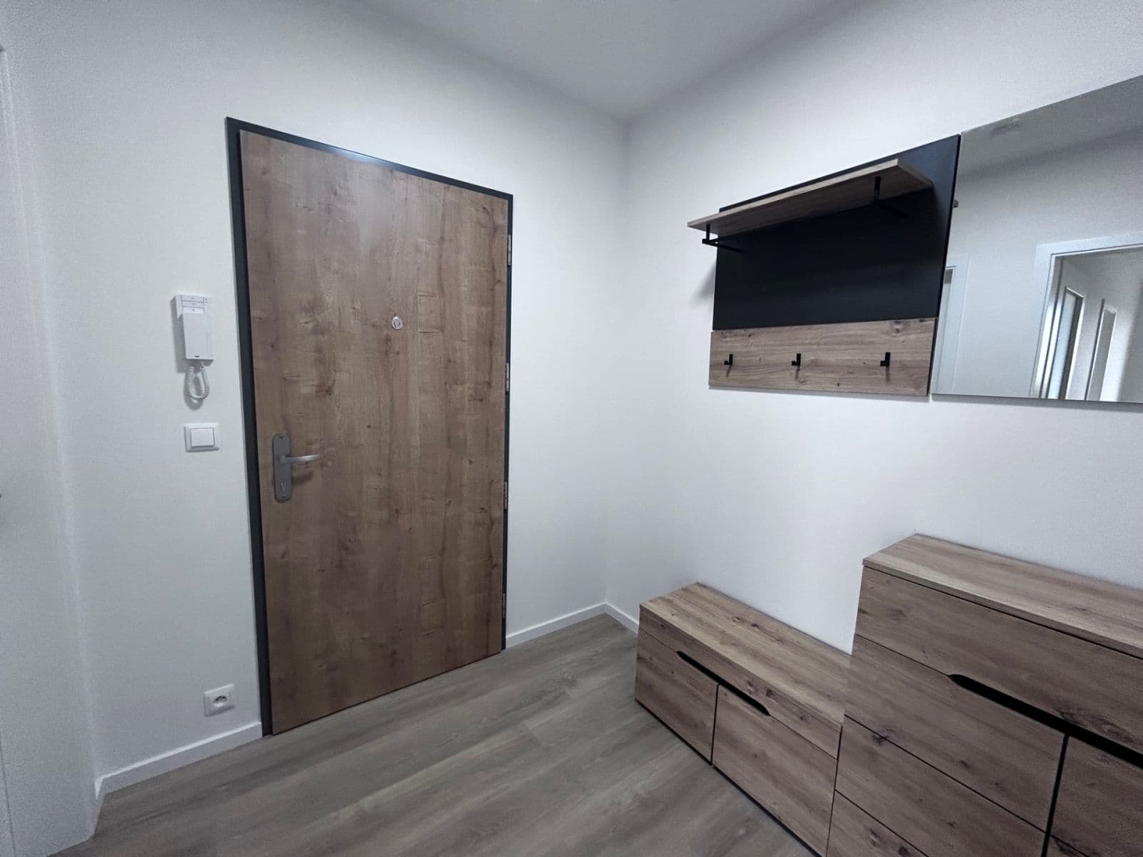 1 bedroom with open-plan kitchen flat to rent, 50 m², Divíškové, Prague, Prague 1 bedroom with open-plan kitchen flat to rent, 50 m², Divíškové, Prague, Prague