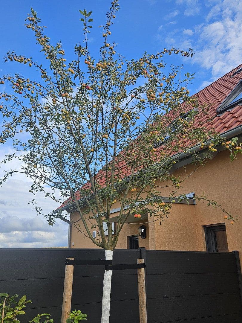 1 bedroom with open-plan kitchen flat to rent, 66 m², Brunnenweg 1a, Kamenz - Kamjenc, Saxony 1 bedroom with open-plan kitchen flat to rent, 66 m², Brunnenweg 1a, Kamenz - Kamjenc, Saxony