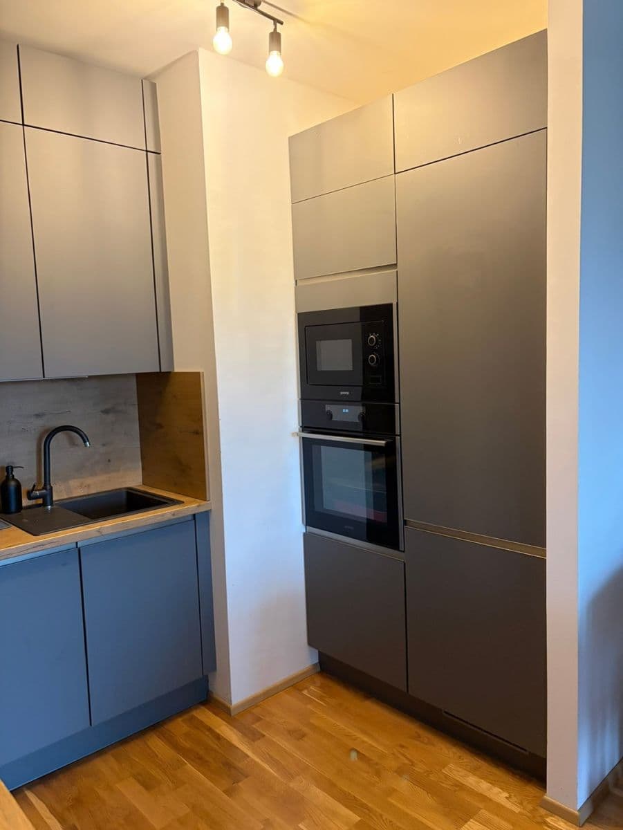 1 bedroom with open-plan kitchen flat to rent, 56 m², Mezi vodami, Prague, Prague 1 bedroom with open-plan kitchen flat to rent, 56 m², Mezi vodami, Prague, Prague
