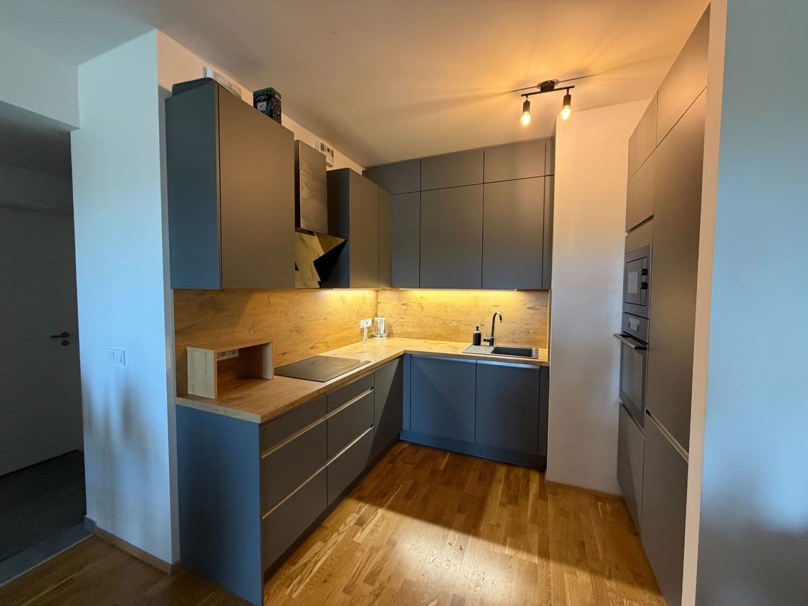 1 bedroom with open-plan kitchen flat to rent, 56 m², Mezi vodami, Prague, Prague 1 bedroom with open-plan kitchen flat to rent, 56 m², Mezi vodami, Prague, Prague