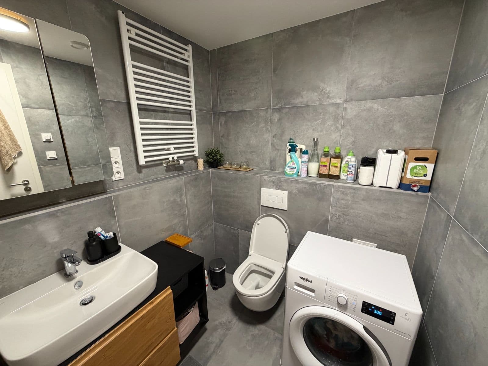 1 bedroom with open-plan kitchen flat to rent, 56 m², Mezi vodami, Prague, Prague 1 bedroom with open-plan kitchen flat to rent, 56 m², Mezi vodami, Prague, Prague