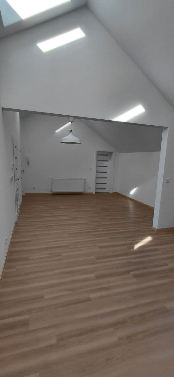 3 bedroom with open-plan kitchen flat to rent, 155 m², Jednostranná, Prague, Prague 3 bedroom with open-plan kitchen flat to rent, 155 m², Jednostranná, Prague, Prague