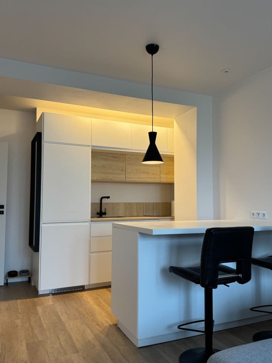 1 bedroom with open-plan kitchen flat for sale, 52 m², Buková, Prague, Prague 1 bedroom with open-plan kitchen flat for sale, 52 m², Buková, Prague, Prague