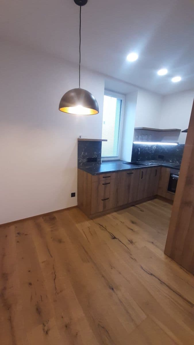 2 bedroom with open-plan kitchen flat to rent, 78 m², Sulická, Prague, Prague 2 bedroom with open-plan kitchen flat to rent, 78 m², Sulická, Prague, Prague