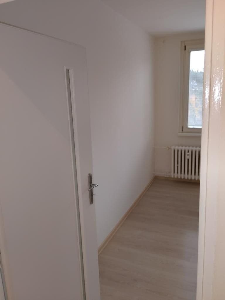 1 bedroom with open-plan kitchen flat to rent, 42 m², U Valu, Prague, Prague 1 bedroom with open-plan kitchen flat to rent, 42 m², U Valu, Prague, Prague