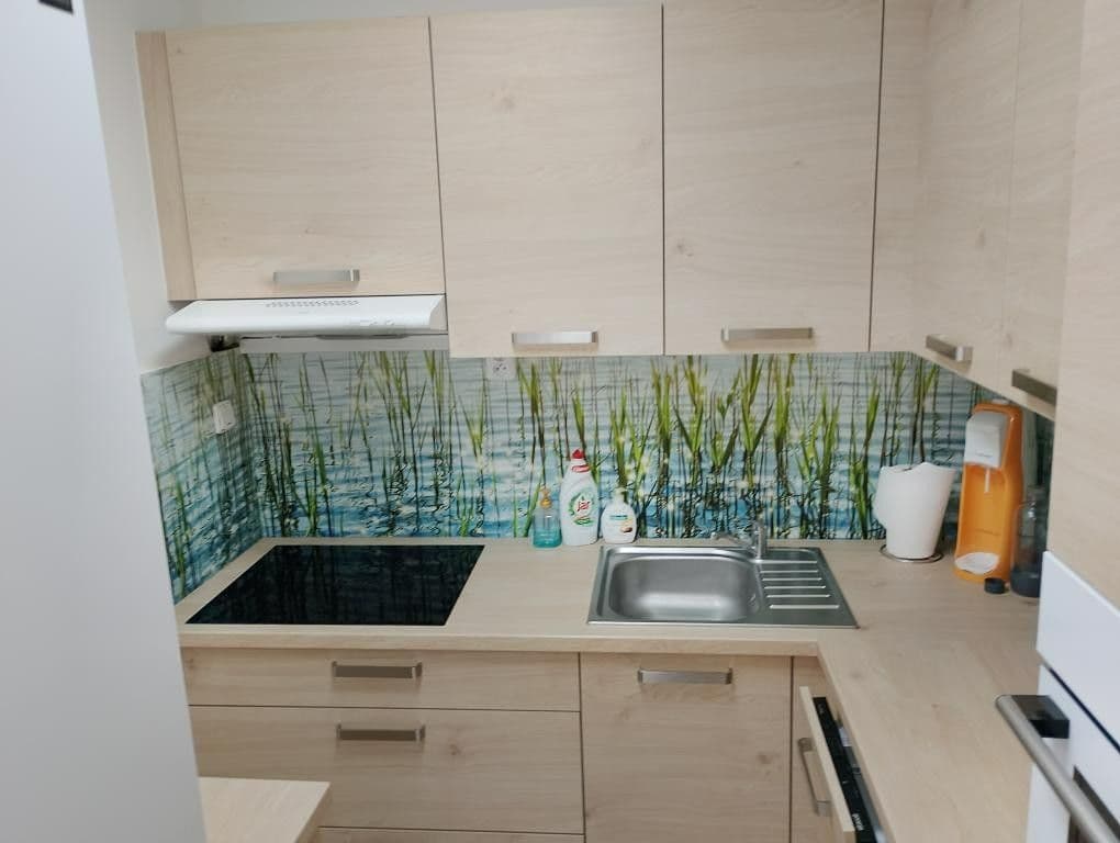 1 bedroom with open-plan kitchen flat to rent, 42 m², U Valu, Prague, Prague 1 bedroom with open-plan kitchen flat to rent, 42 m², U Valu, Prague, Prague