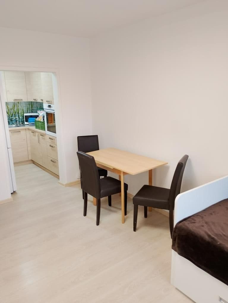 1 bedroom with open-plan kitchen flat to rent, 42 m², U Valu, Prague, Prague 1 bedroom with open-plan kitchen flat to rent, 42 m², U Valu, Prague, Prague