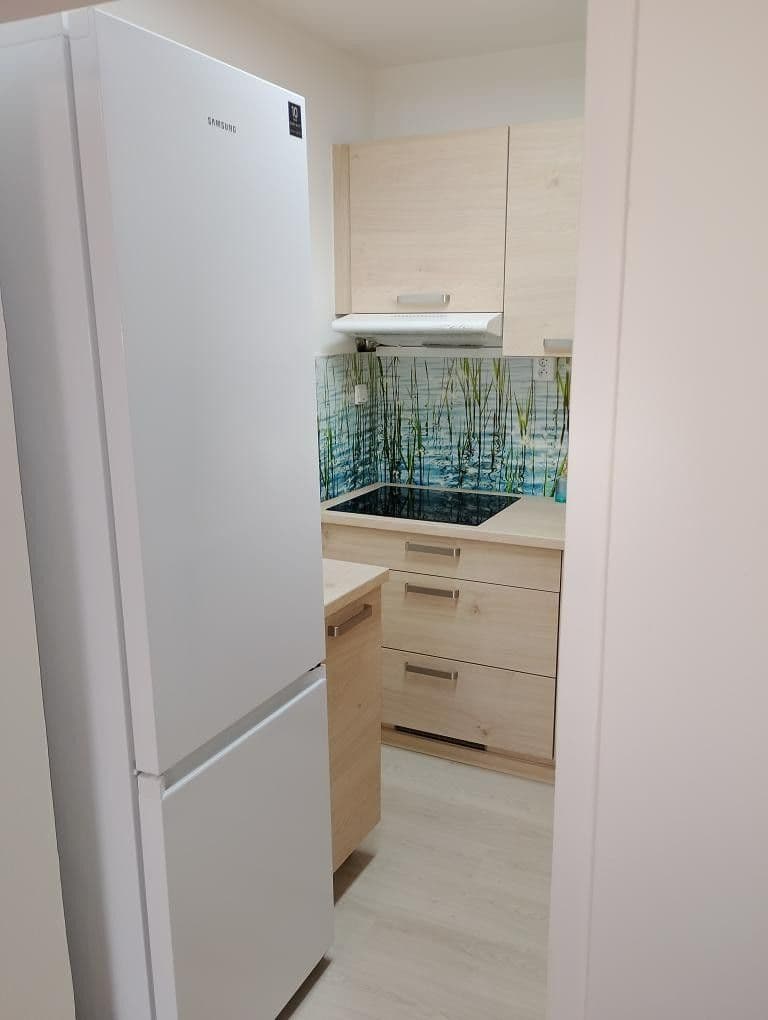 1 bedroom with open-plan kitchen flat to rent, 42 m², U Valu, Prague, Prague 1 bedroom with open-plan kitchen flat to rent, 42 m², U Valu, Prague, Prague