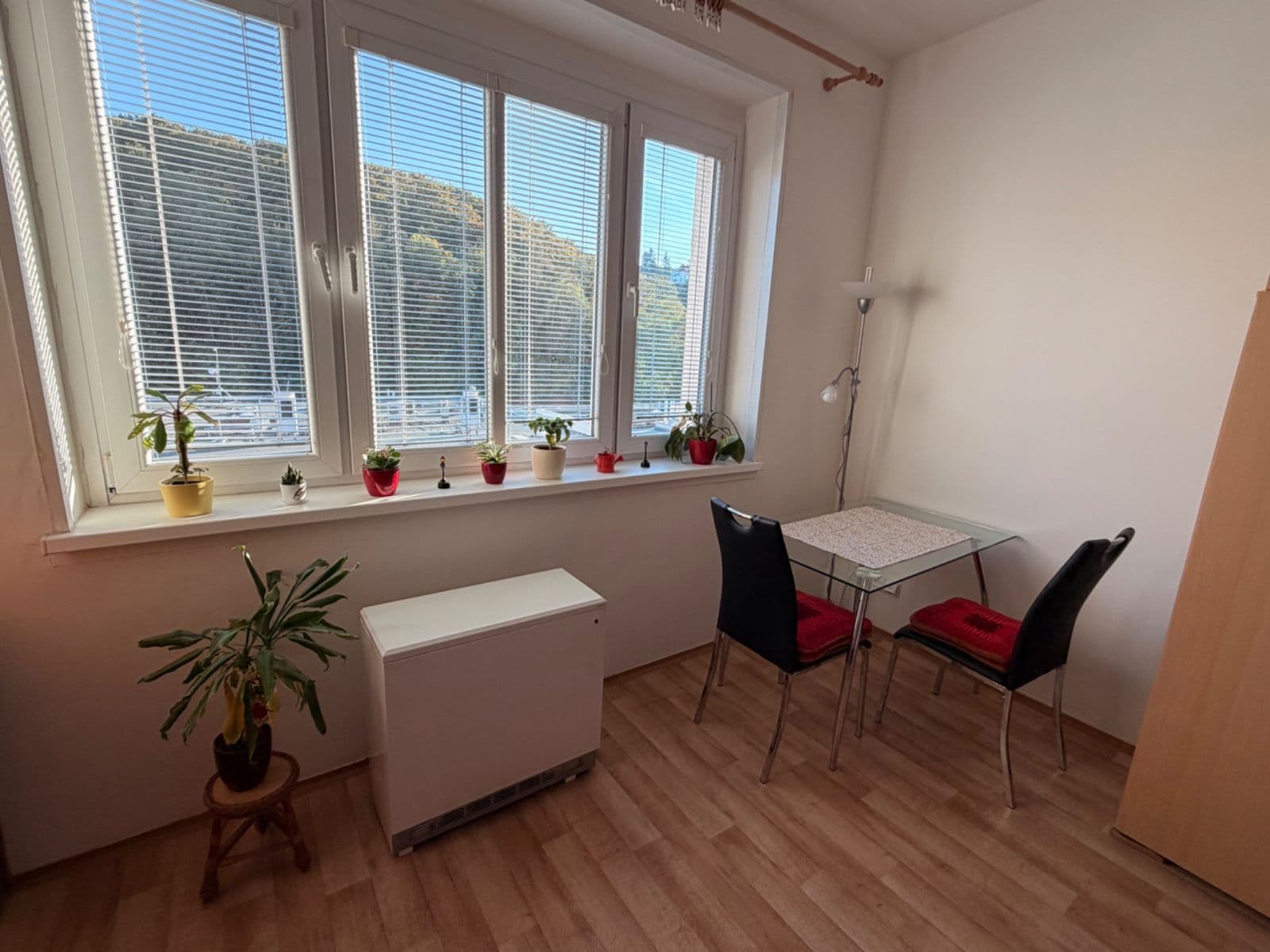 Studio flat to rent, 30 m², Vrchlického, Prague, Prague Studio flat to rent, 30 m², Vrchlického, Prague, Prague