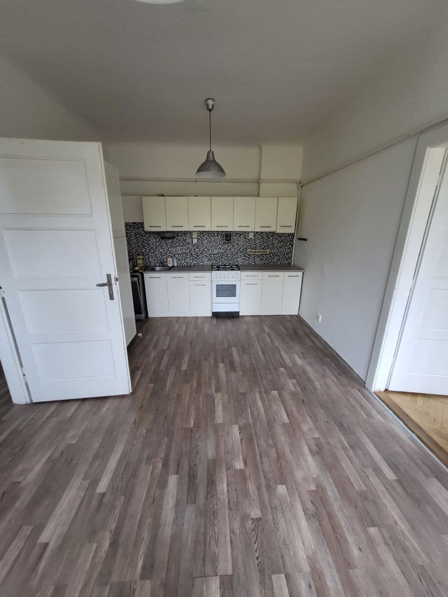 1 bedroom with open-plan kitchen flat to rent, 48 m², Lucemburská, Prague, Prague 1 bedroom with open-plan kitchen flat to rent, 48 m², Lucemburská, Prague, Prague